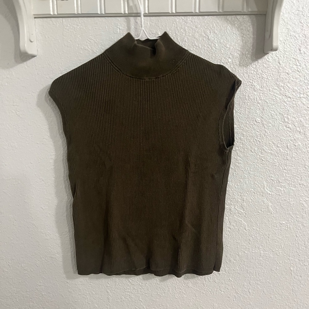 Brown turtle next top